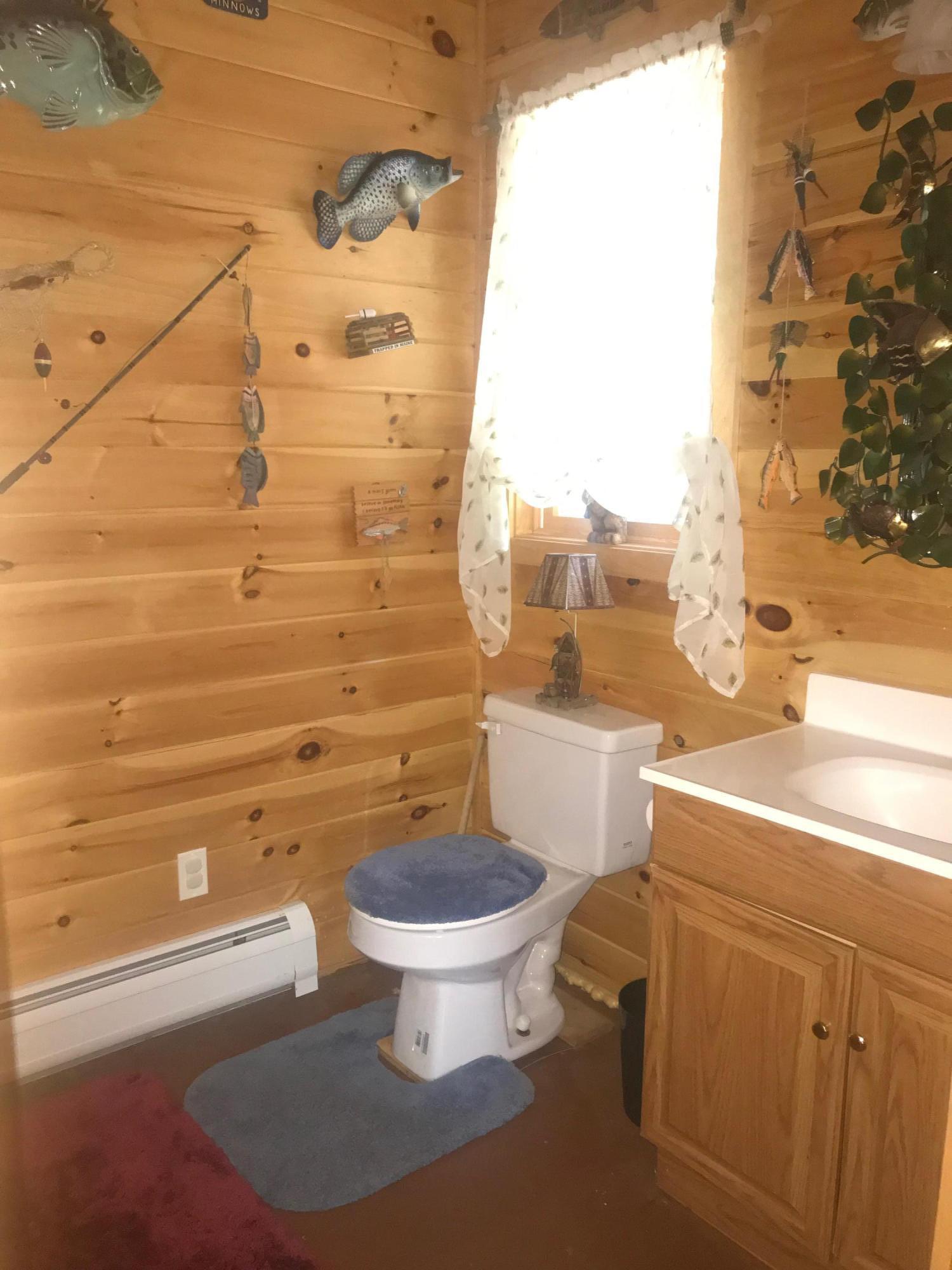 227 Sokokis Road Parsonsfield, ME 04047 - Photo 27 of 31 IMG-6938