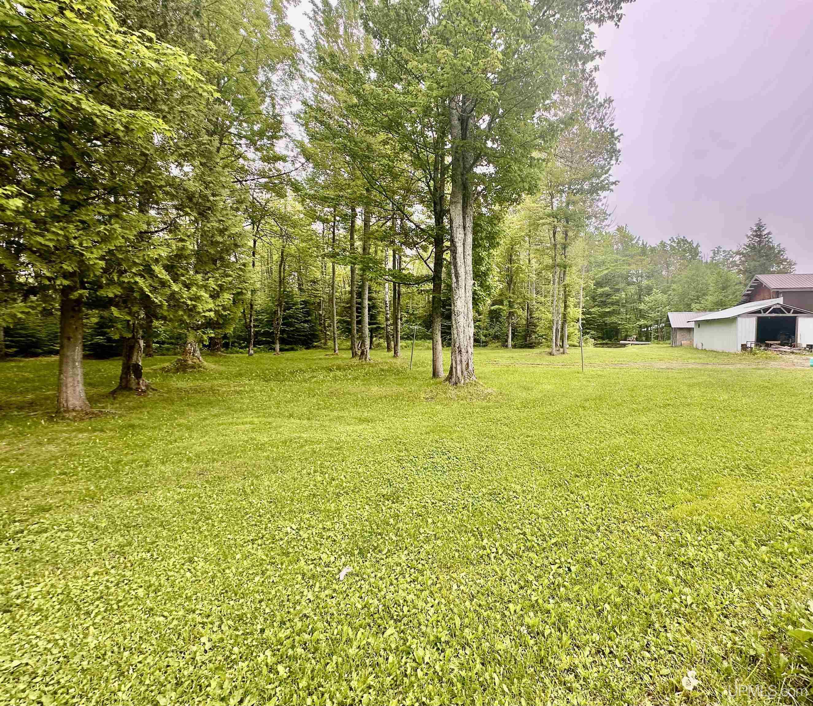 N5232 Dhondt Road Skandia, MI 49885 - Photo 2 of 53