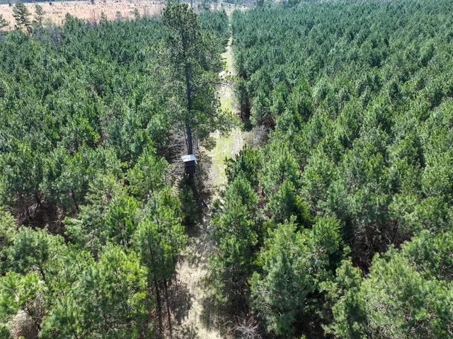 an aerial view of residential house with outdoor space and trees all around