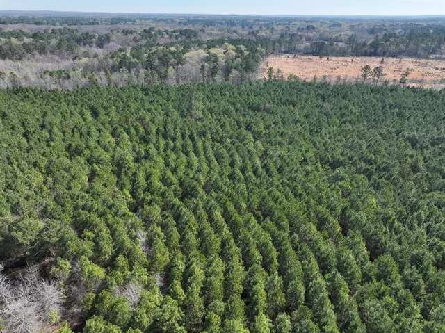 an aerial view of a houses with a yard