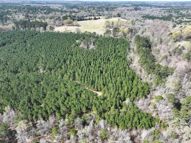 an aerial view of residential house with outdoor space and trees all around