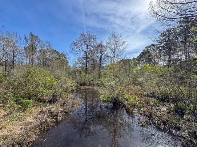 a view of a yard with plants and a trees