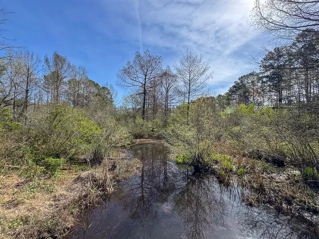 a view of a yard with large trees