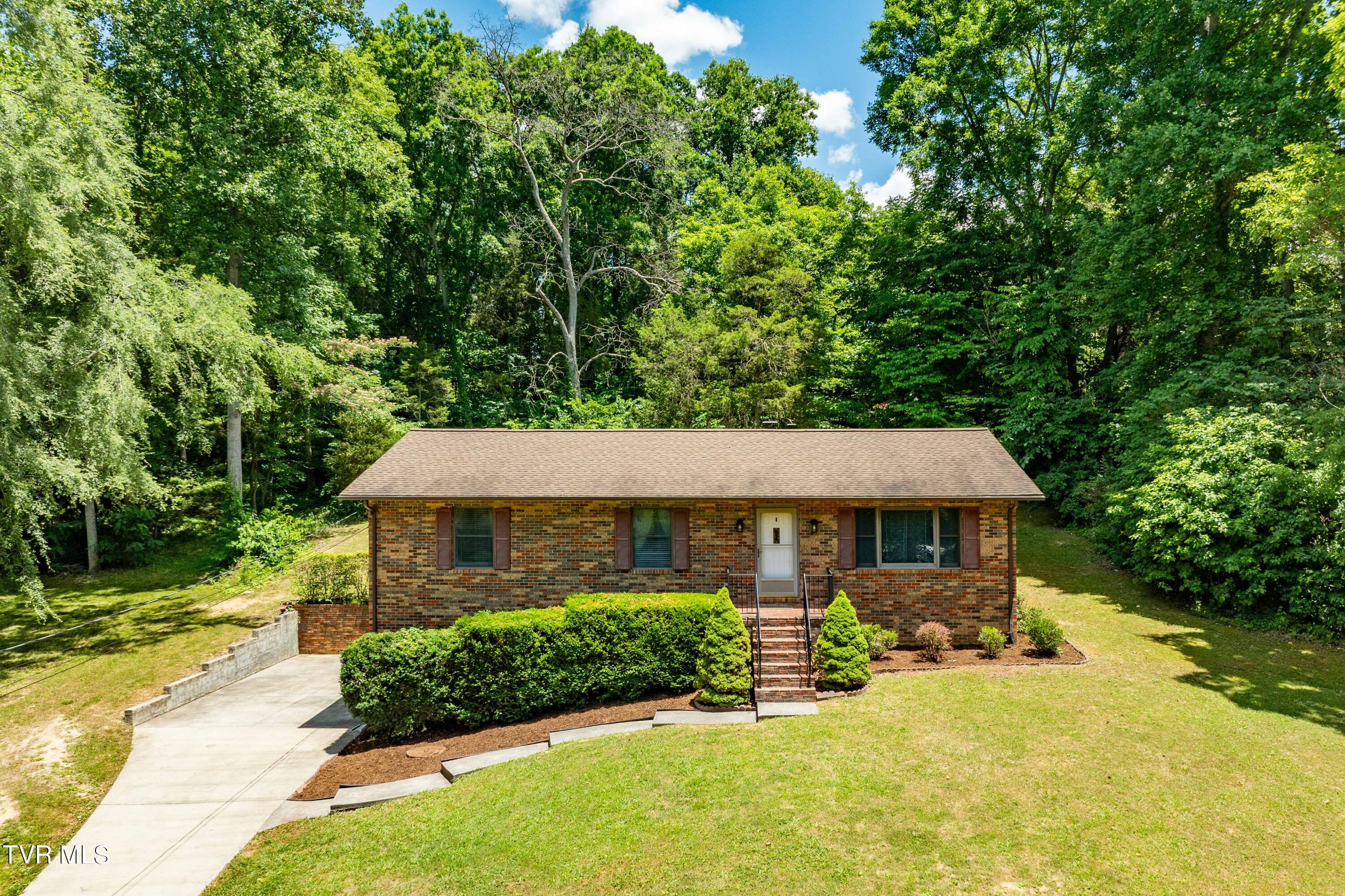 234 Forrest Road Fall Branch, TN 37656 - Photo 1 of 70 234 Forrest Road (14 of 70)