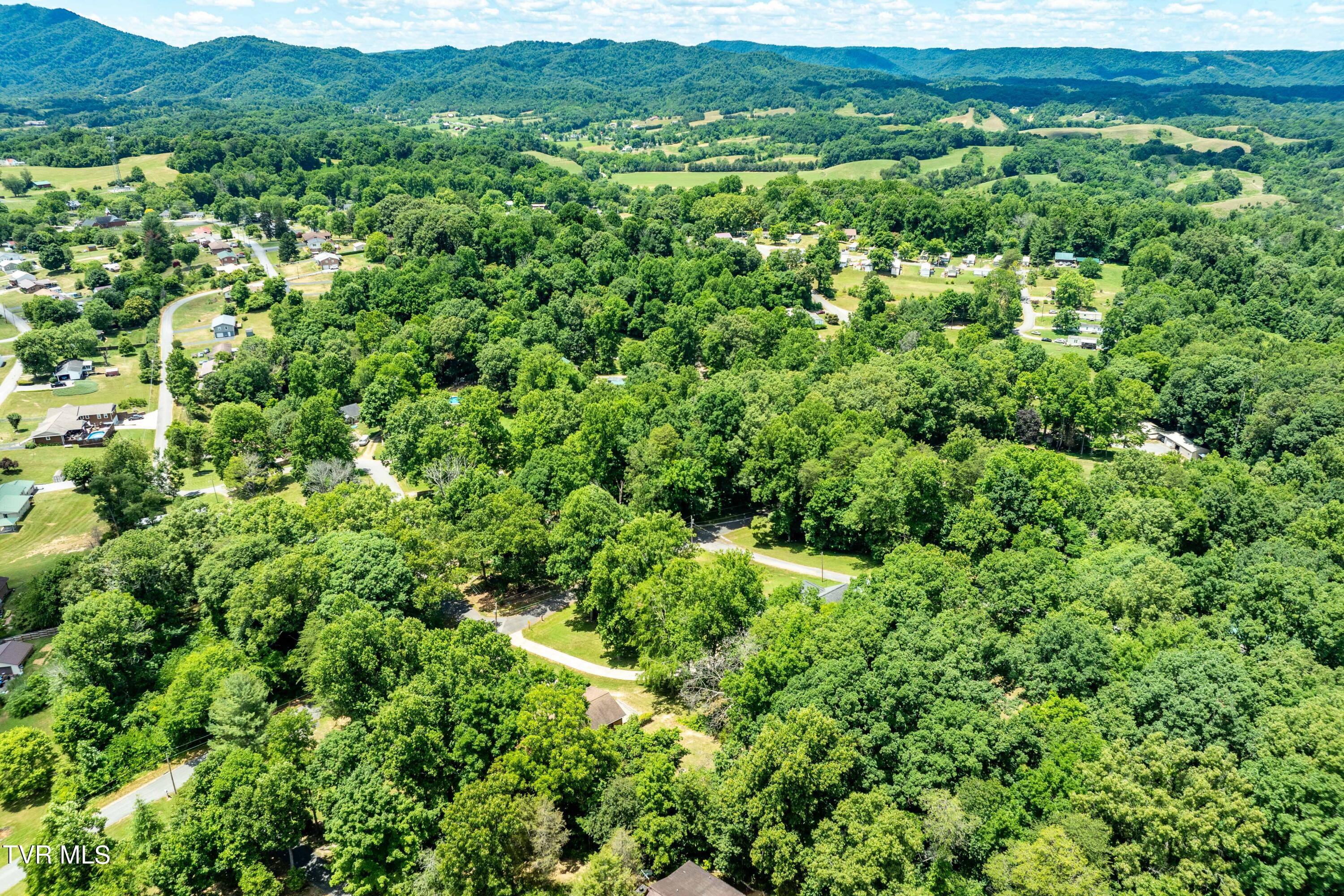 234 Forrest Road Fall Branch, TN 37656 - Photo 11 of 70 234 Forrest Road (10 of 70)