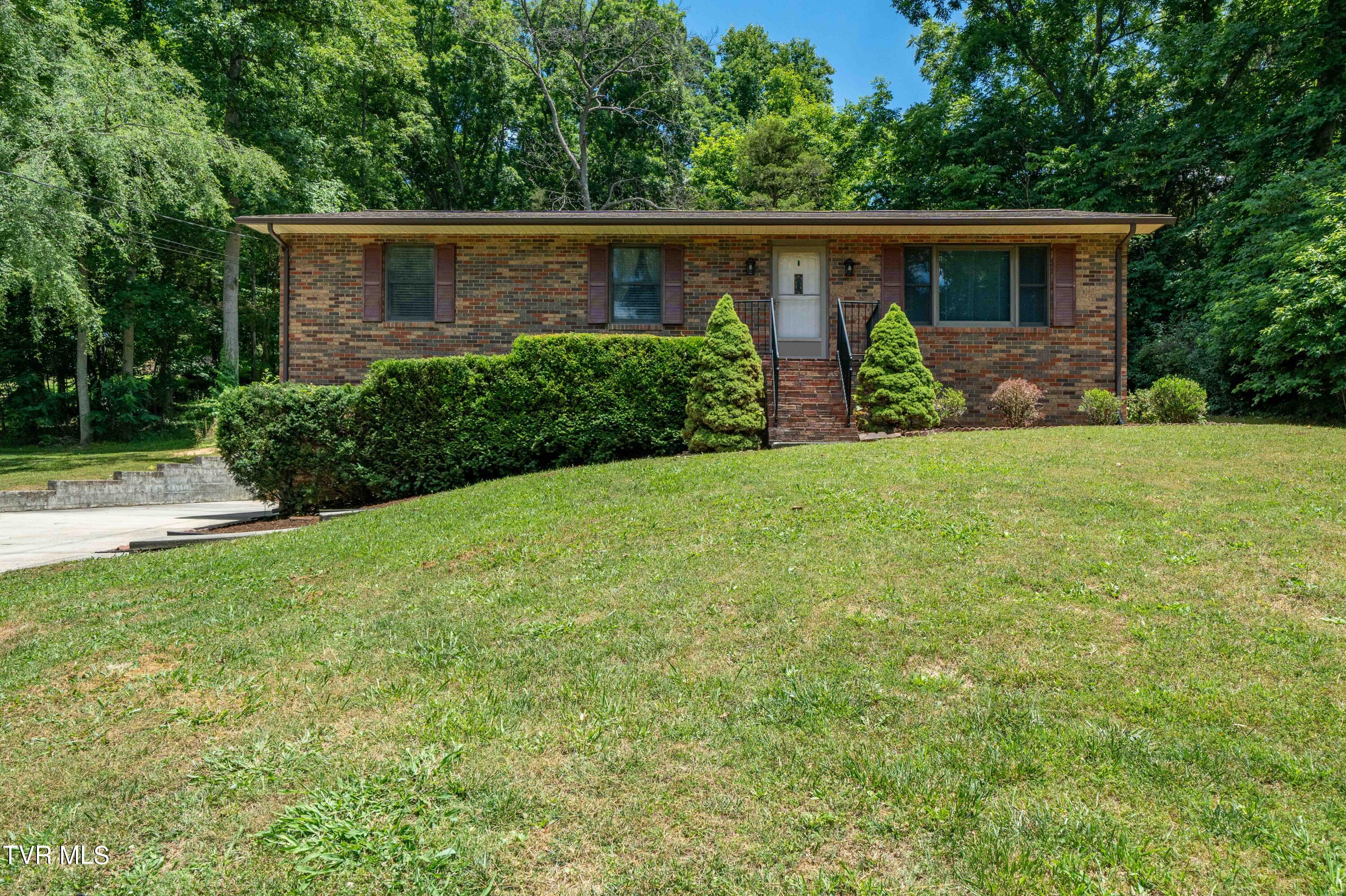 234 Forrest Road Fall Branch, TN 37656 - Photo 24 of 70 234 Forrest Road (24 of 70)