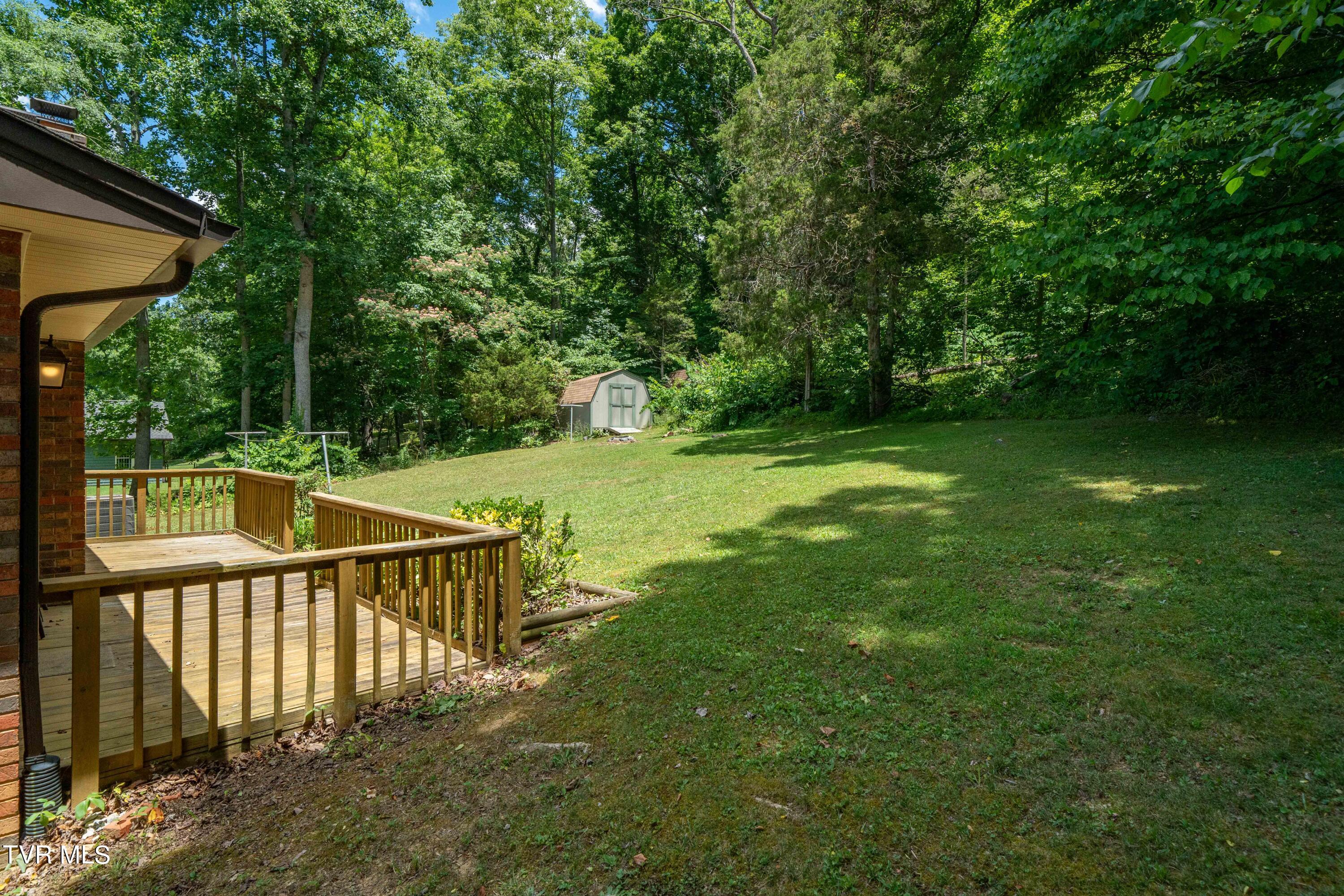 234 Forrest Road Fall Branch, TN 37656 - Photo 28 of 70 234 Forrest Road (28 of 70)