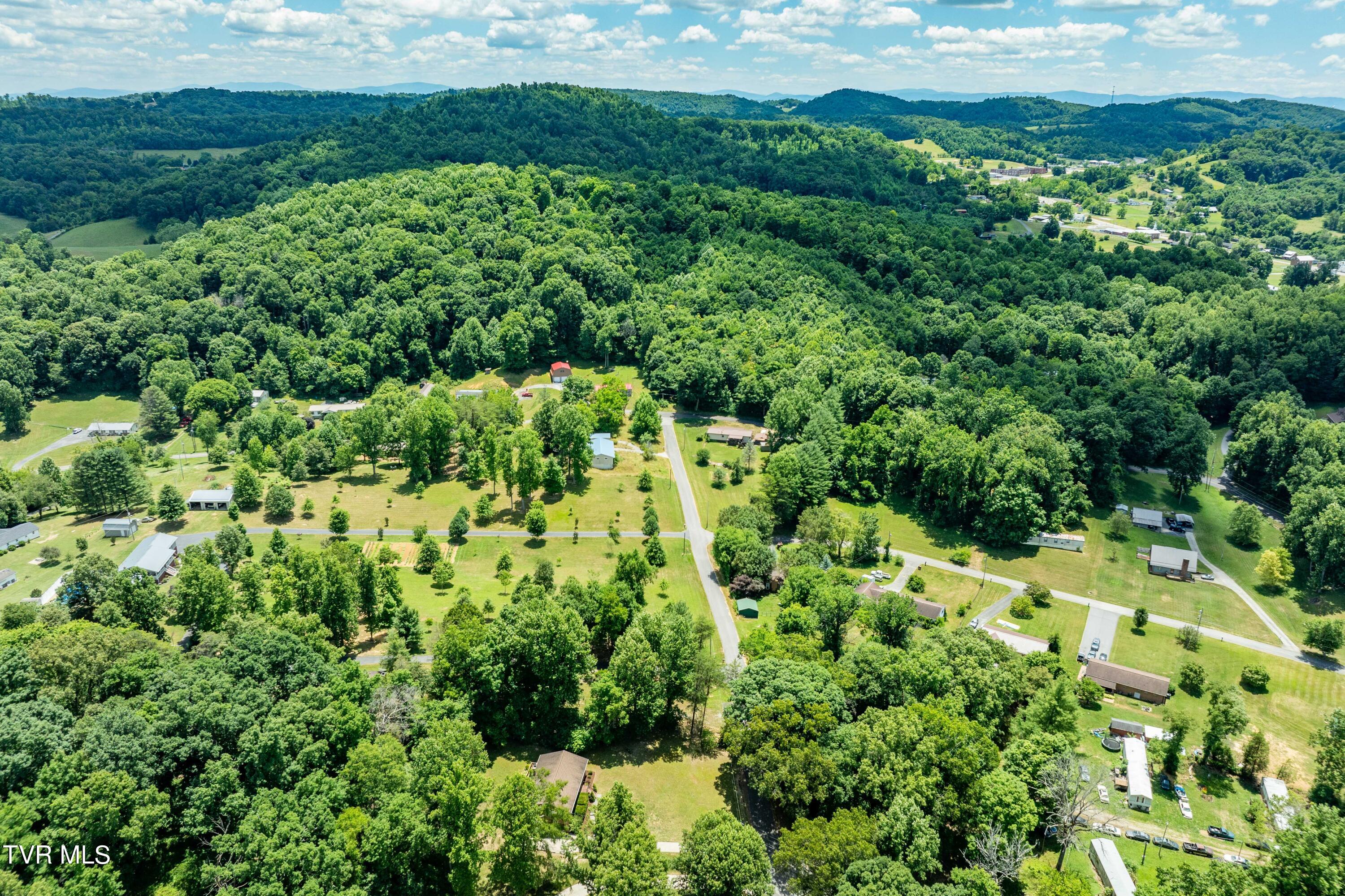 234 Forrest Road Fall Branch, TN 37656 - Photo 3 of 70 234 Forrest Road (2 of 70)