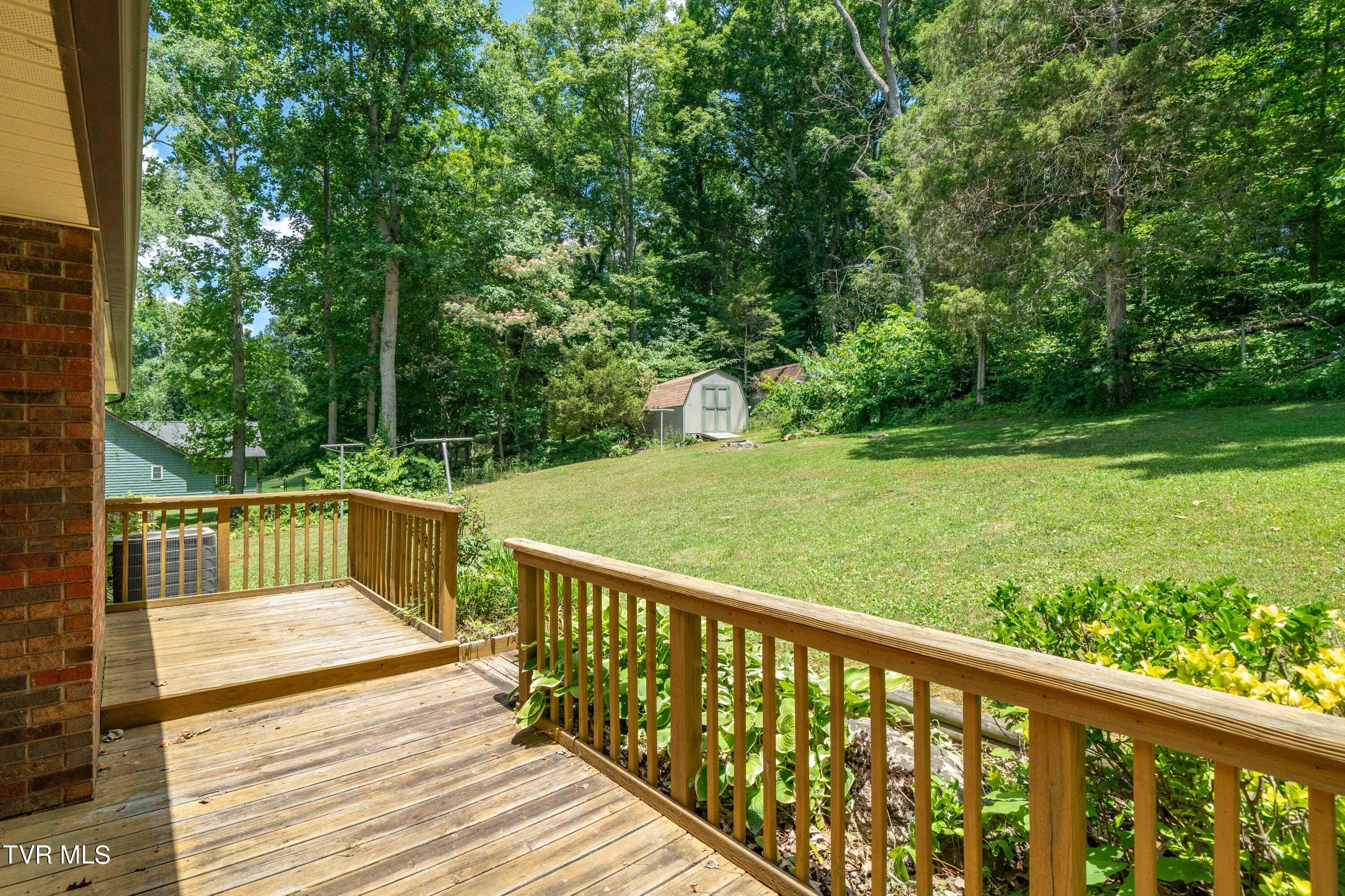 234 Forrest Road Fall Branch, TN 37656 - Photo 34 of 70 234 Forrest Road (34 of 70)