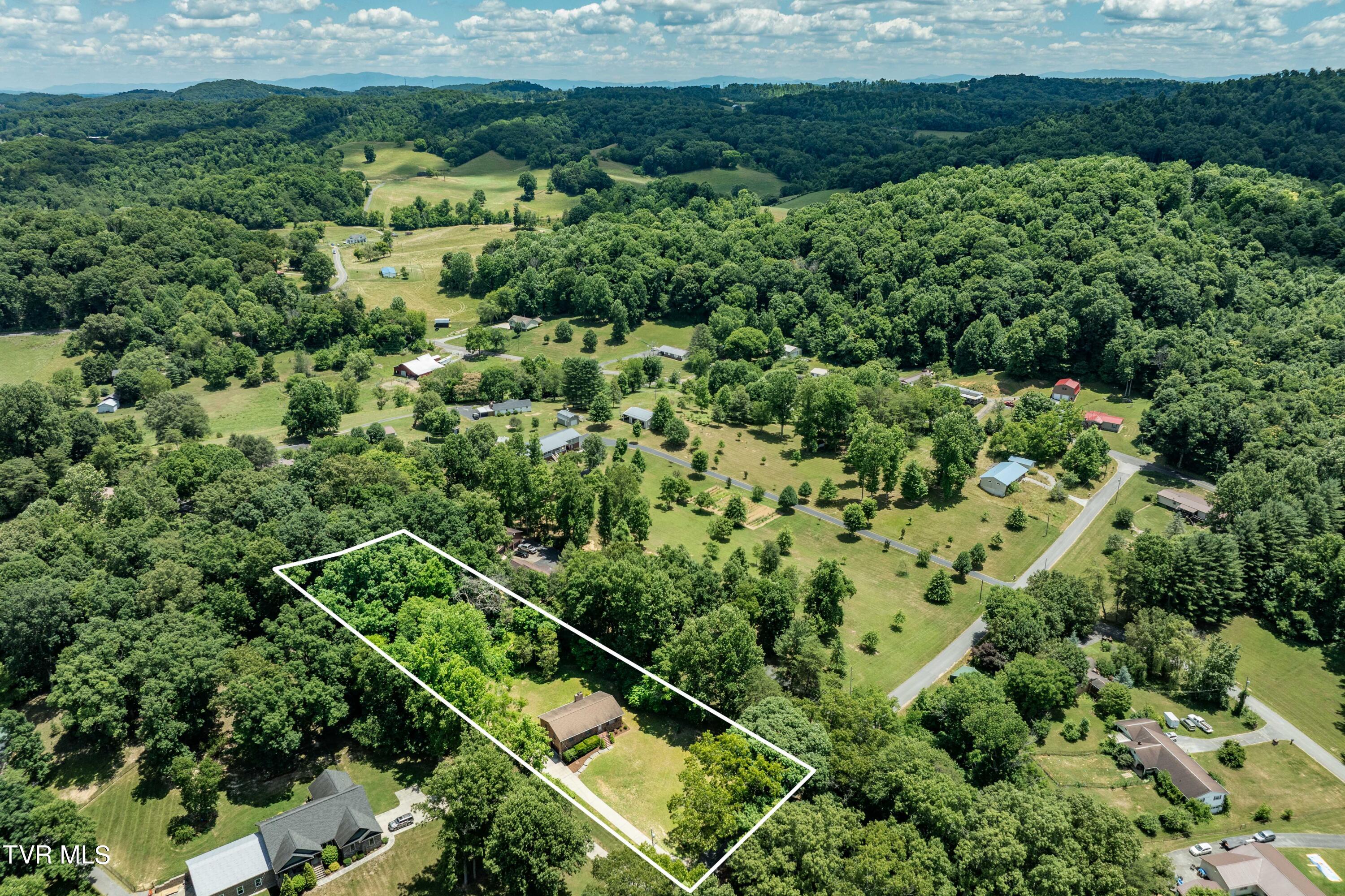 234 Forrest Road Fall Branch, TN 37656 - Photo 4 of 70 234 Forrest Road (3 of 70)