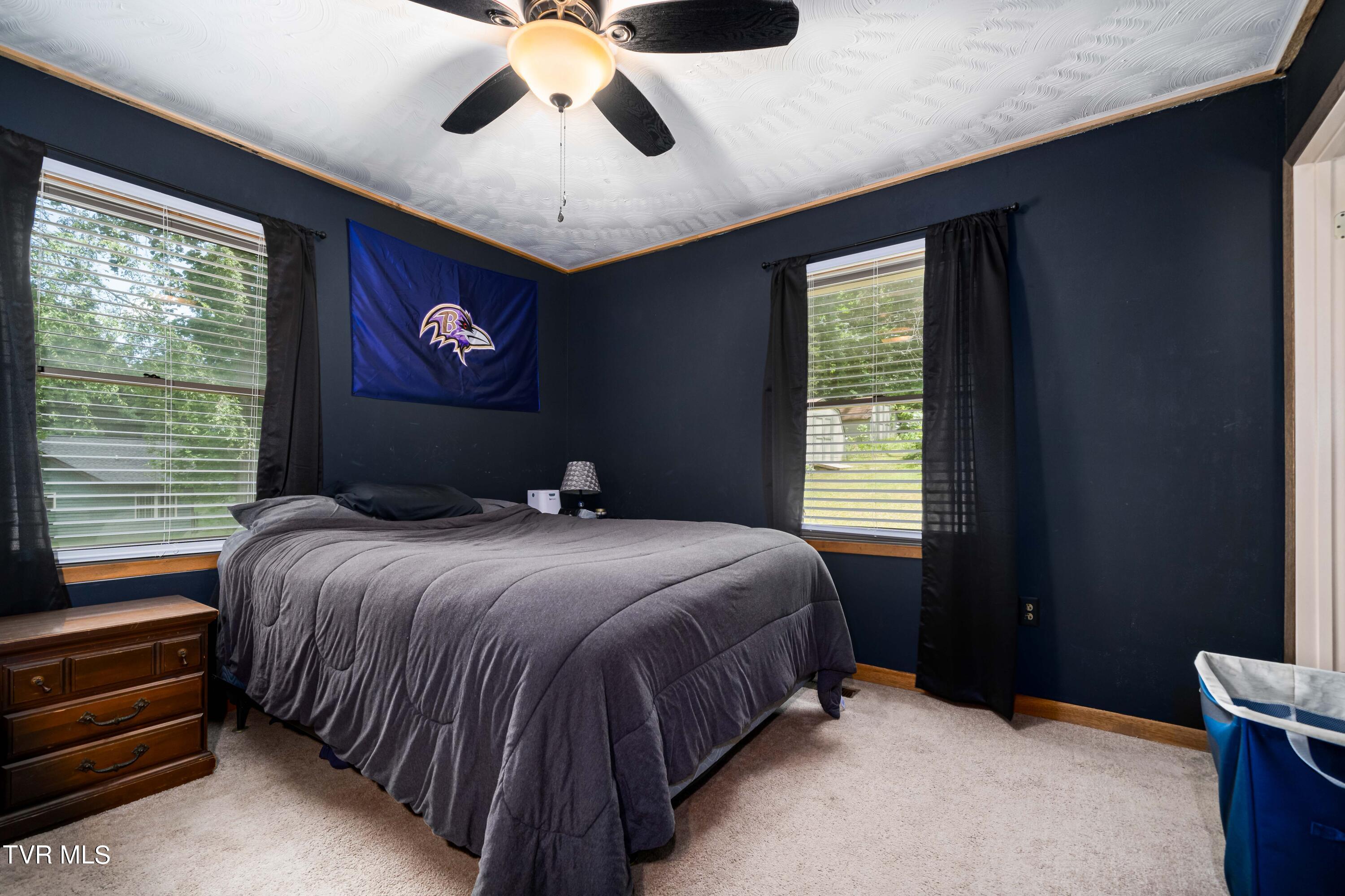 234 Forrest Road Fall Branch, TN 37656 - Photo 60 of 70 234 Forrest Road (60 of 70)