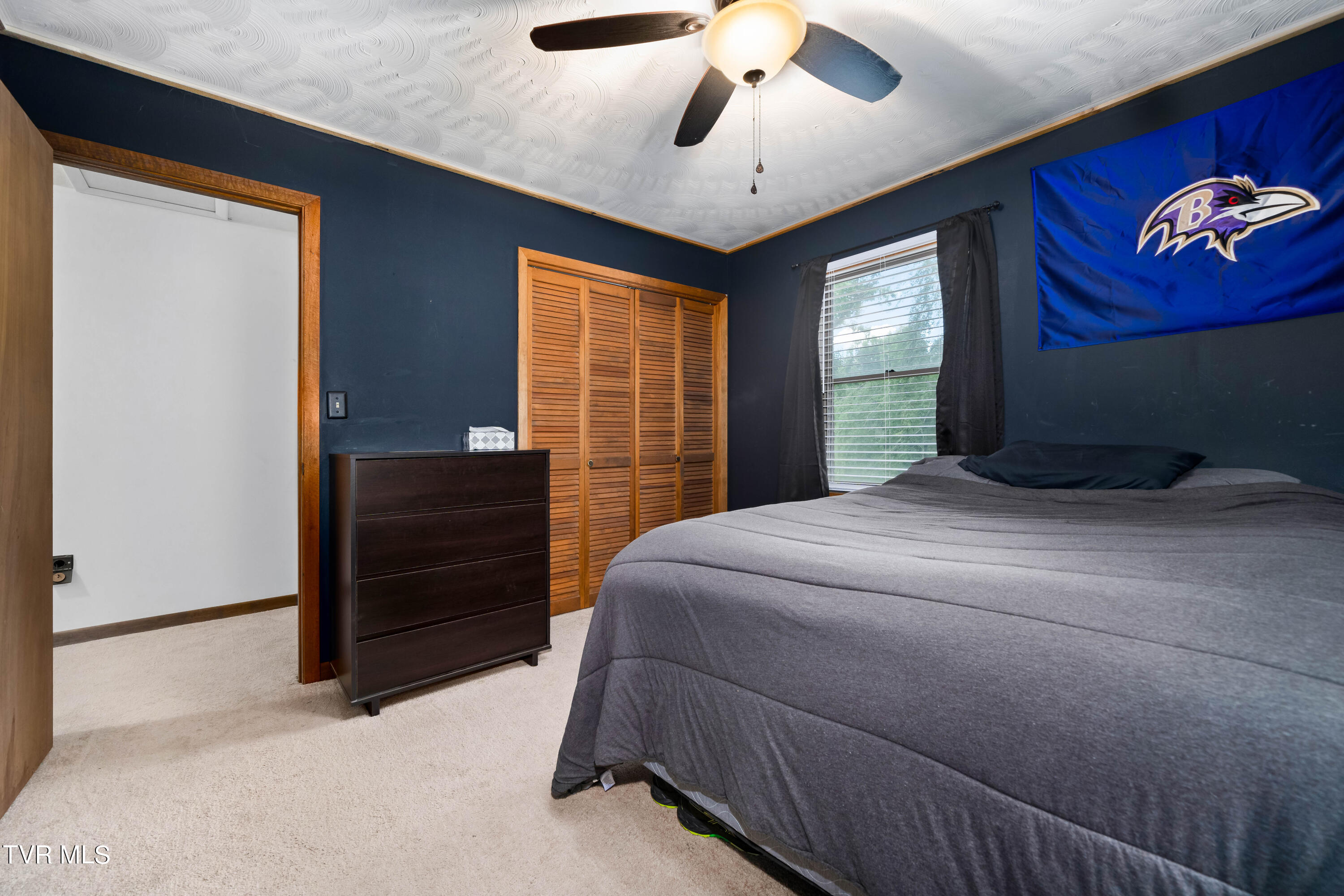 234 Forrest Road Fall Branch, TN 37656 - Photo 61 of 70 234 Forrest Road (61 of 70)