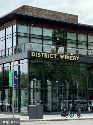 a view of a park with plants and trees