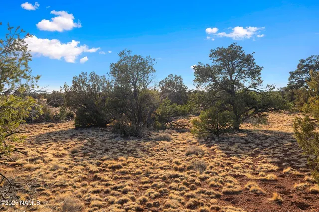 $39,000 | 8755 Hawkeye Circle, Unit LOT A, Williams, AZ 86046