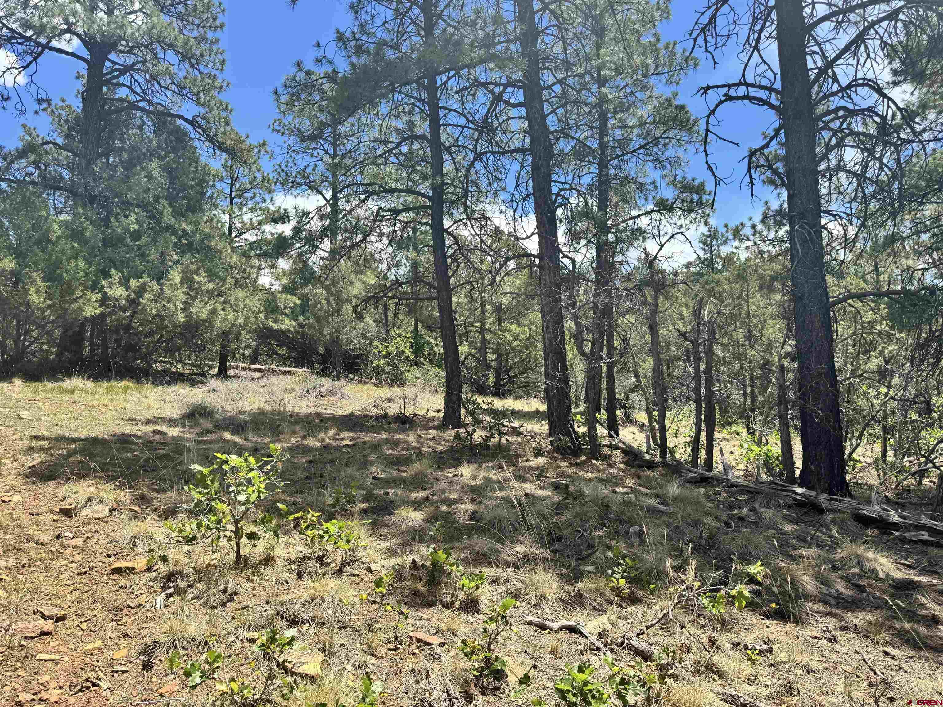 1259 Westview Road Pagosa Springs, CO 81147 - Photo 14 of 29
