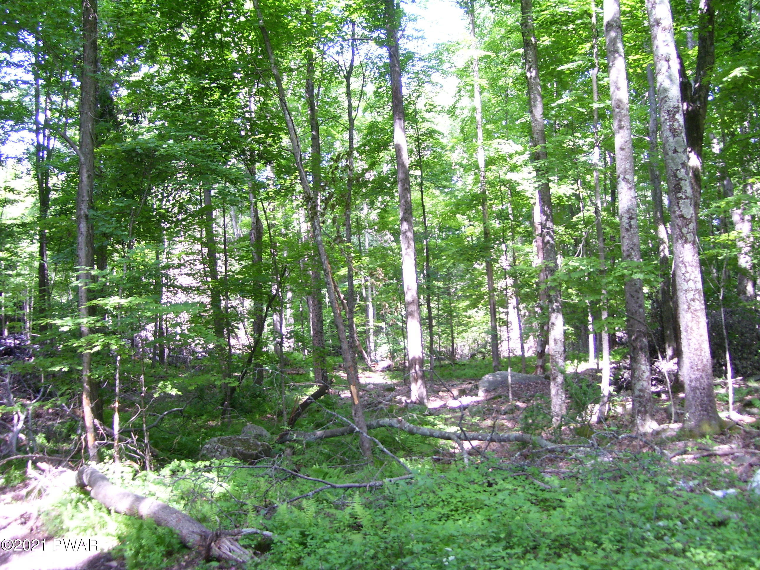 0 Forks Bridge Road Newfoundland, PA 18445 - Photo 13 of 16