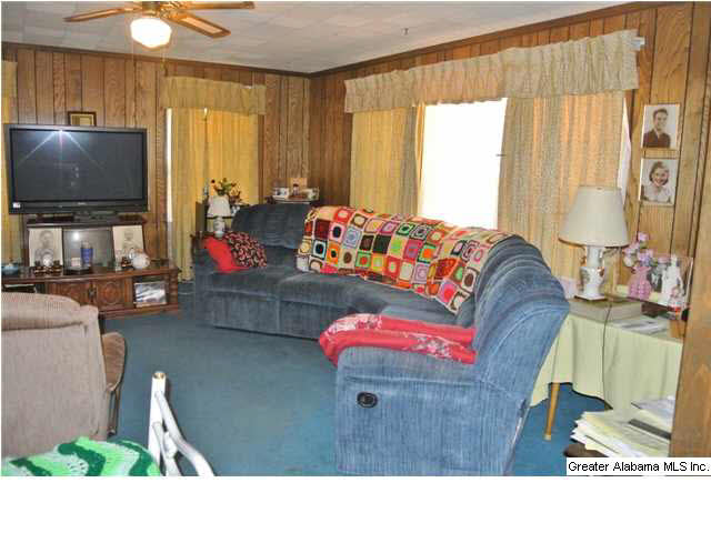 6597 Goodwin Road Pinson, AL 35126 - Photo 9 of 20 Gallery Image 9