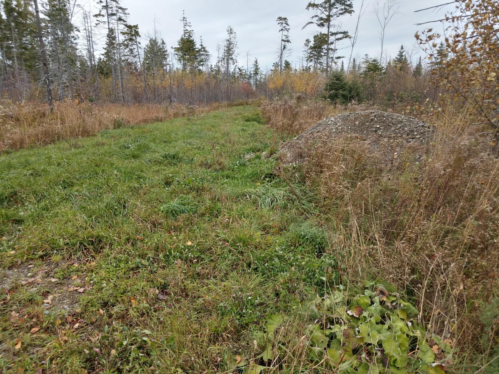 Lot 10 Spring Hill Acres, Unit ACRES Amity, ME 04471 - Photo 6 of 6 IMG_20181019_145552426_HDR
