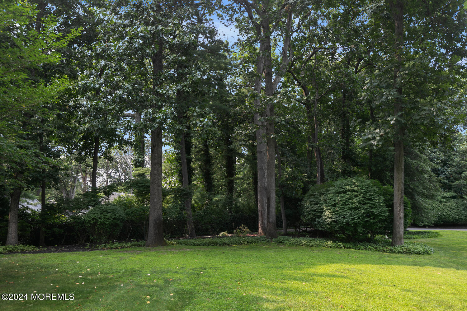 61 Hance Road Fair Haven, NJ 07704 - Photo 37 of 37 front privacy
