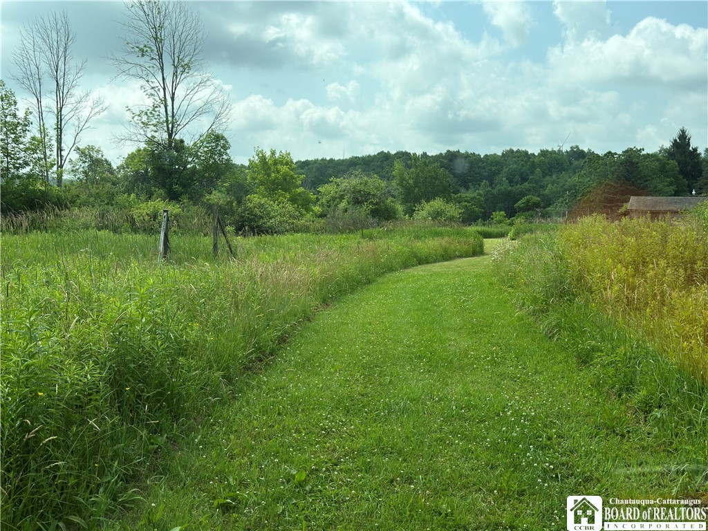 2751 Canfield Road Cohocton, NY 14826 - Photo 43 of 50