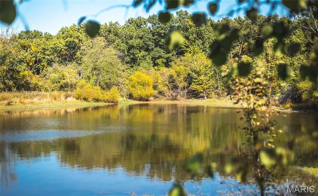 $825,000 | 98 Turkey Ridge Lane, Steelville, MO 65565