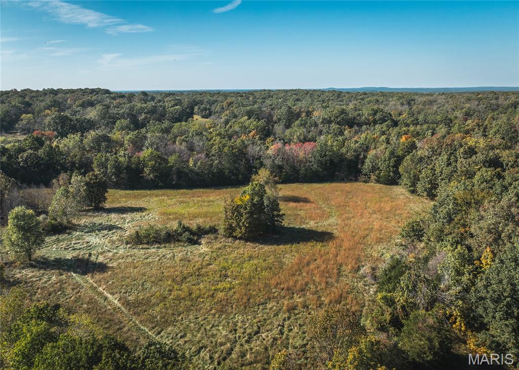 98 Turkey Ridge Lane Steelville, MO 65565 - Photo 43 of 53