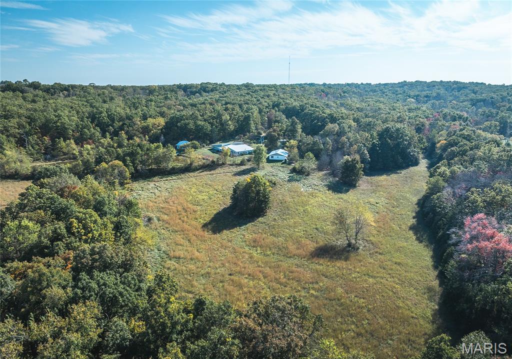 98 Turkey Ridge Lane Steelville, MO 65565 - Photo 45 of 53