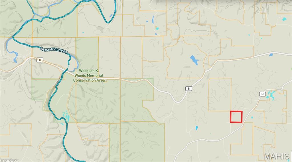 98 Turkey Ridge Lane Steelville, MO 65565 - Photo 50 of 53