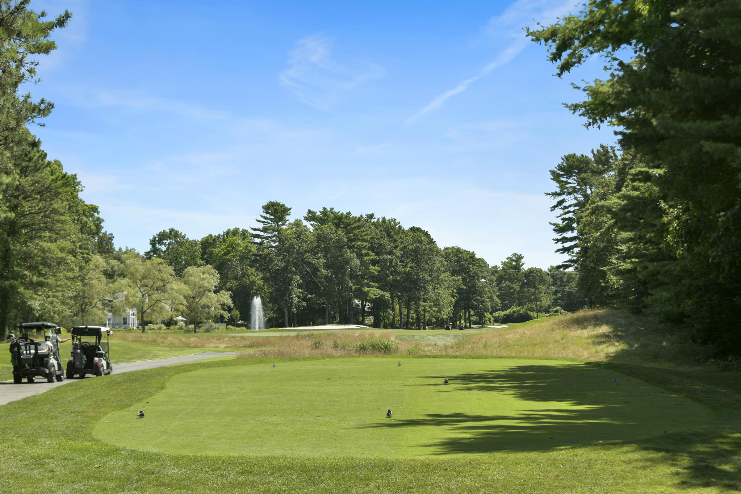 229 Dun Robin Road Mashpee, MA 02649 - Photo 5 of 8 DSC_2127