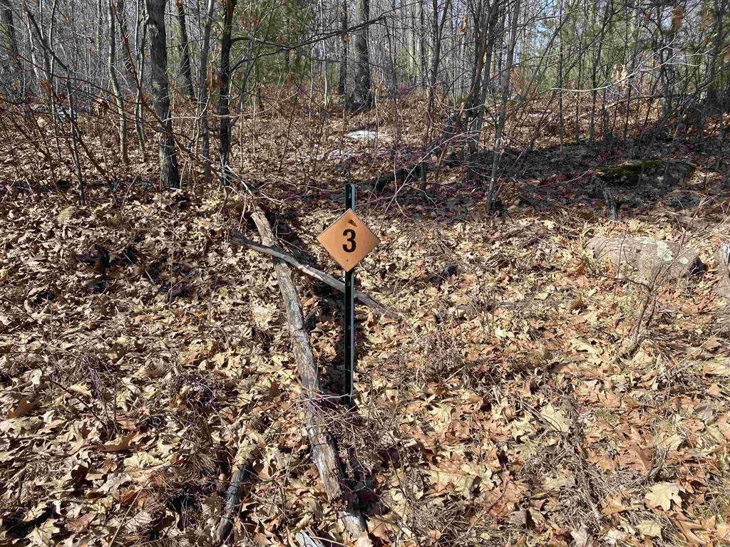 Lot 3 Acorn Ridge Road Mosinee, WI 54455 - Photo 1 of 1 Gallery Image 1