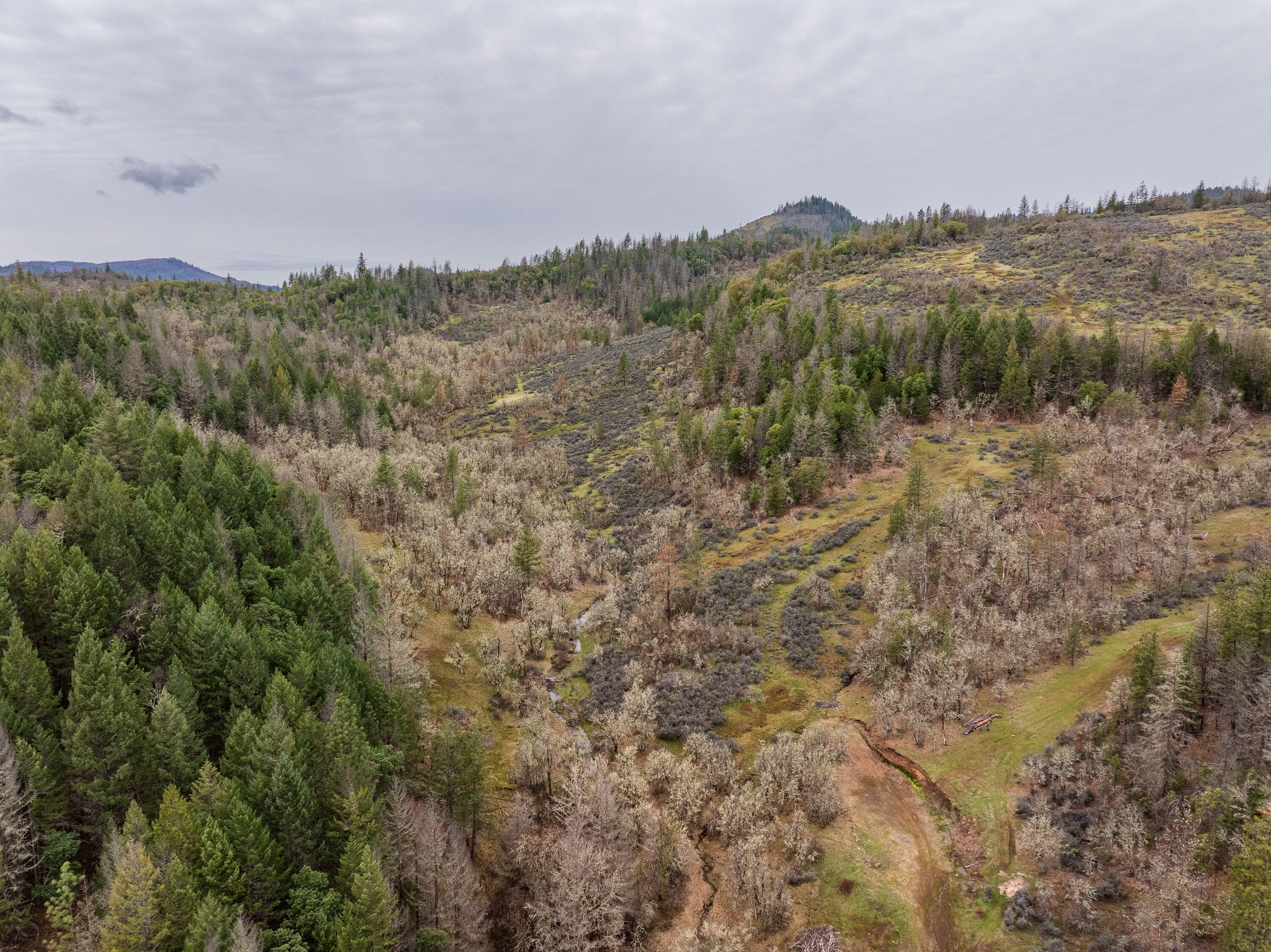 2527 Crowfoot Road Eagle Point, OR 97524 - Photo 5 of 24 2527CrowfootRd-002