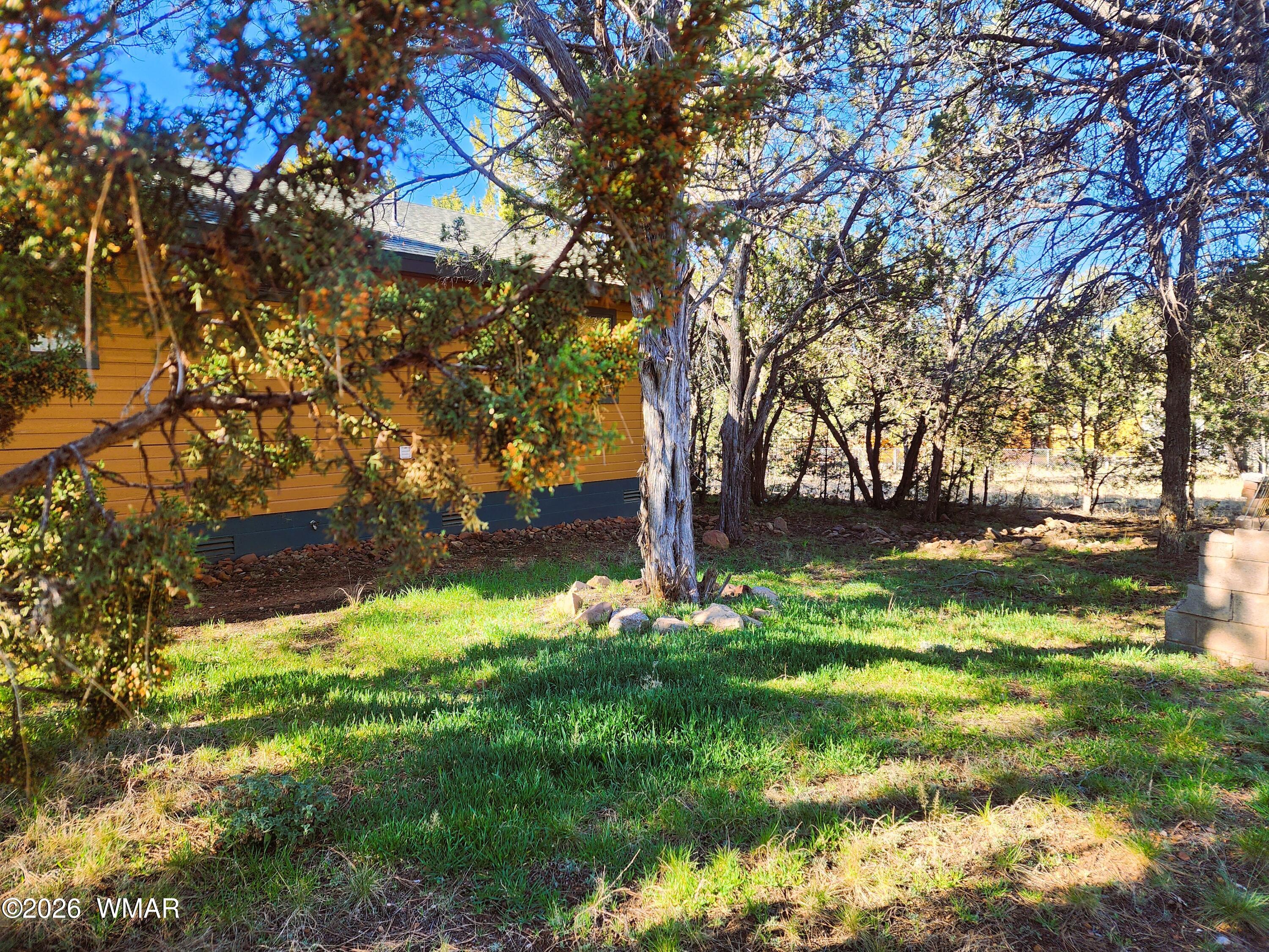 2086 Pinewood Drive Overgaard, AZ 85933 - Photo 8 of 39 Backyard with natural grass, many options to make it yours!
