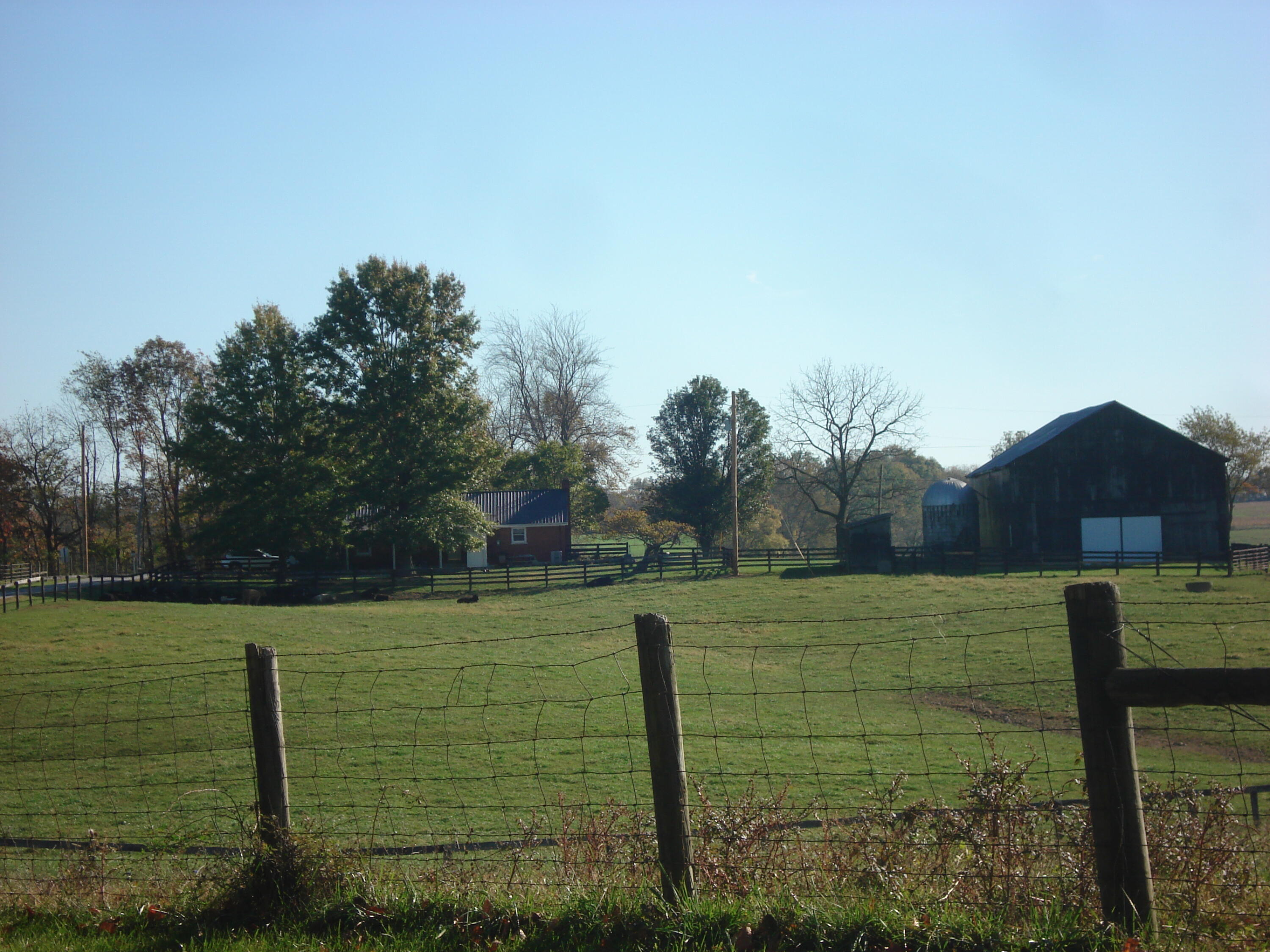 DSC01289