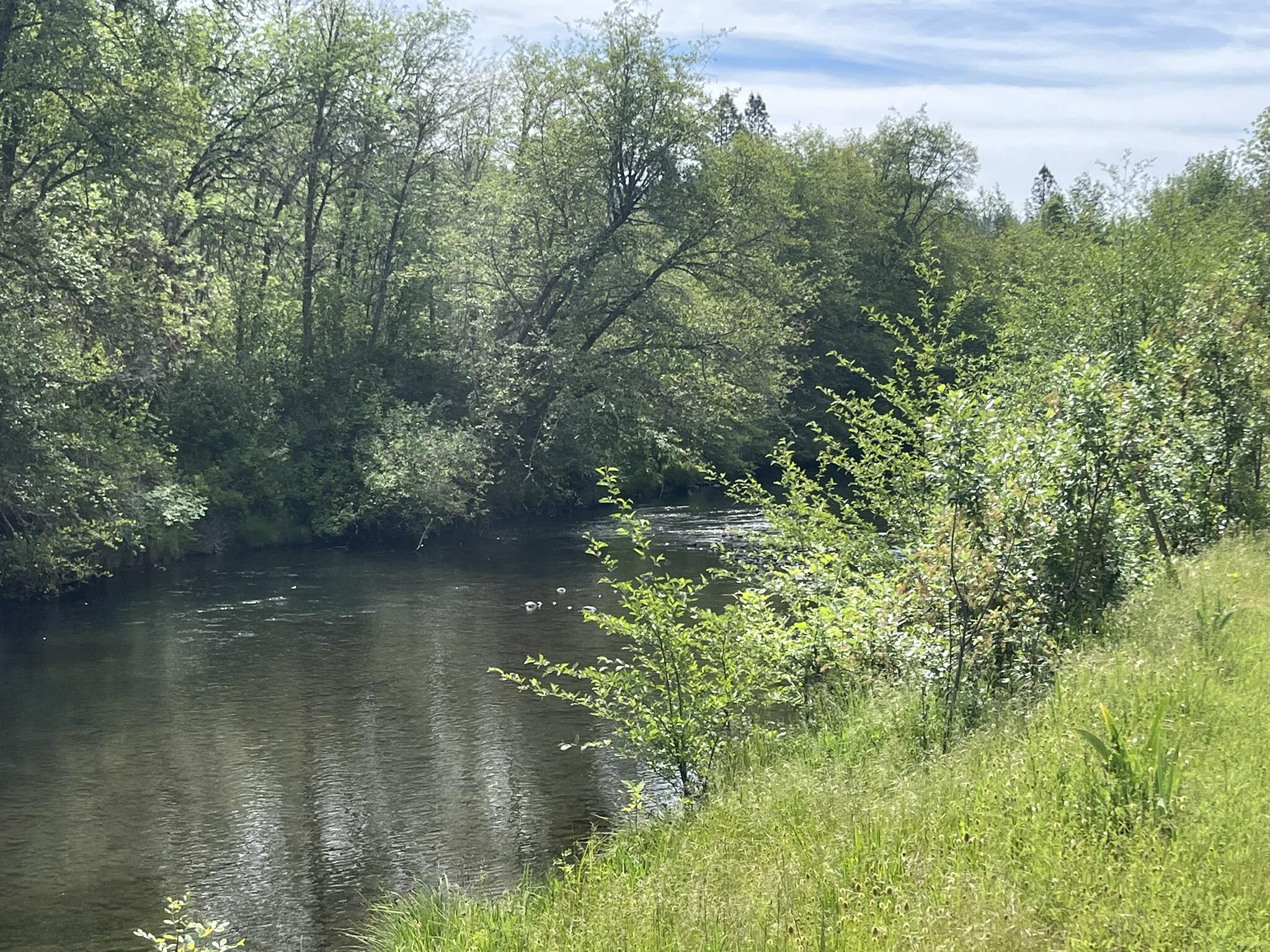 6900 Crowfoot Road Trail, OR 97541 - Photo 7 of 35 IMG_0021