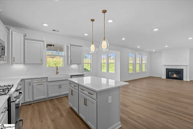 $429,990 | 303 Moorish Circle, Fountain Inn, SC 29644