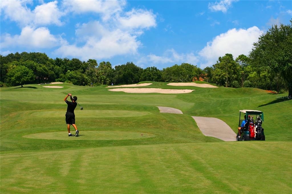 4016 Oakley Greene, Unit 40 Sarasota, FL 34235 - Photo 44 of 51 a park view with a outdoor space