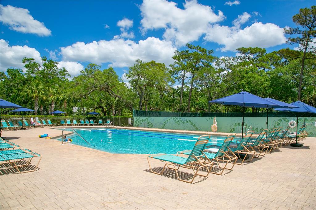 4016 Oakley Greene, Unit 40 Sarasota, FL 34235 - Photo 49 of 51 a view of a swimming pool with lawn chairs under an umbrella