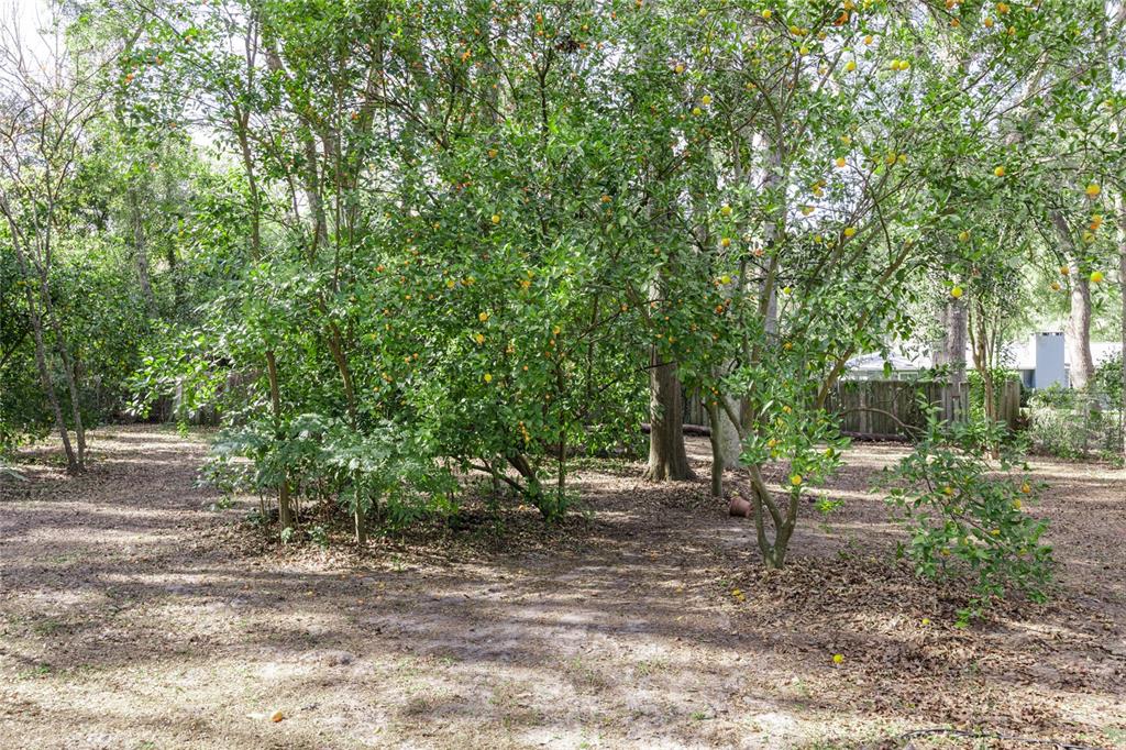 116 Southwest 123rd Street Newberry, FL 32669 - Photo 46 of 53