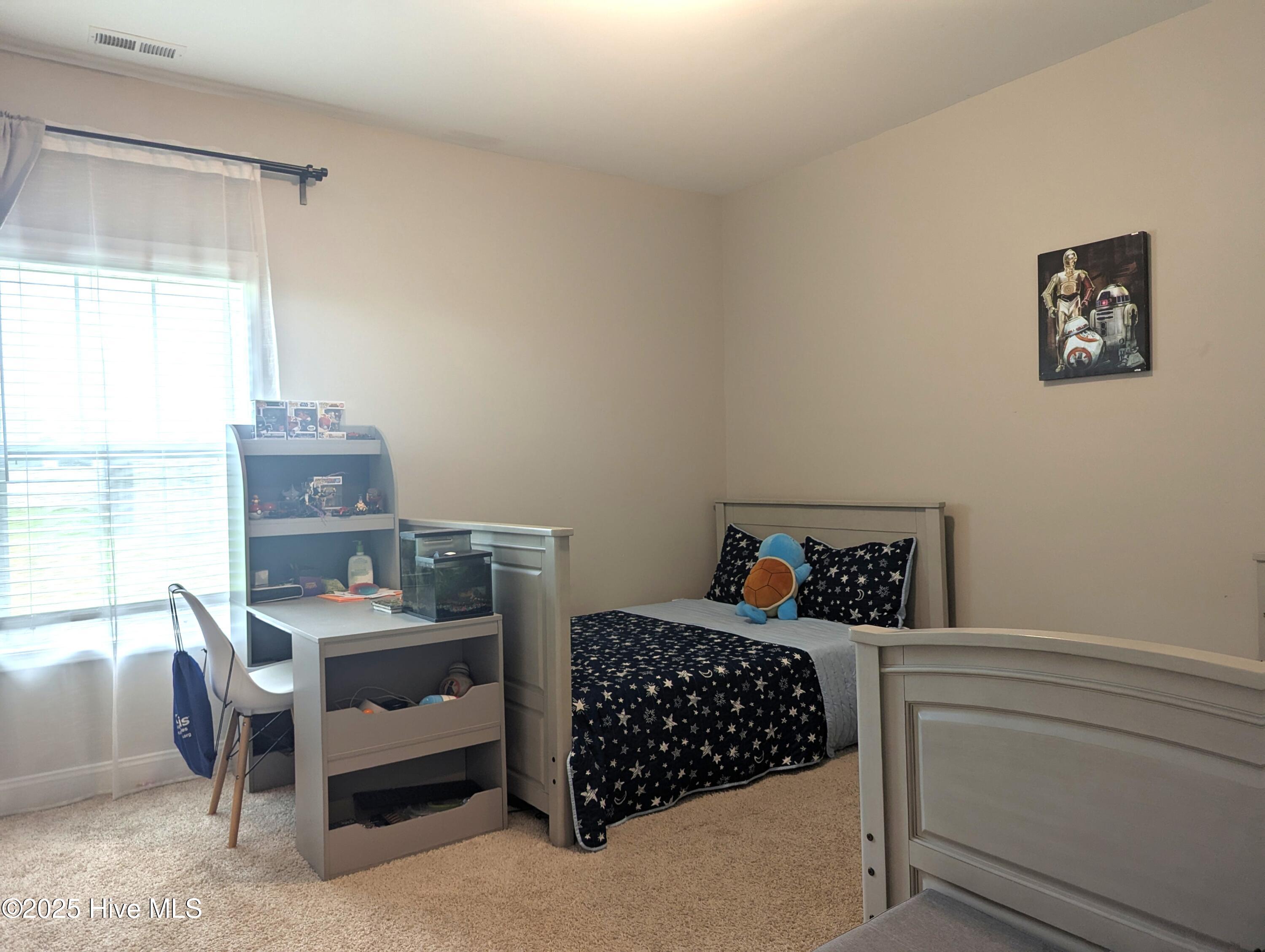 409 Mountain Run Road West End, NC 27376 - Photo 18 of 40 PXL_20250613_132023673