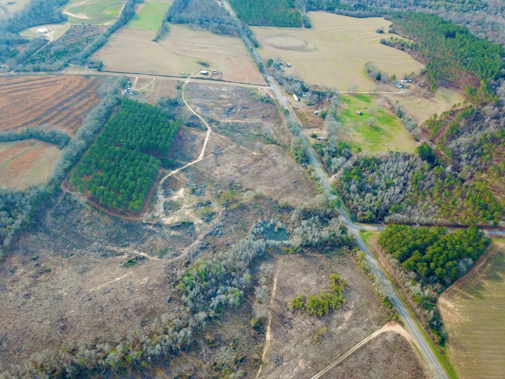 20-acres Hudson Road Columbia, AL 36319 - Photo 16 of 40