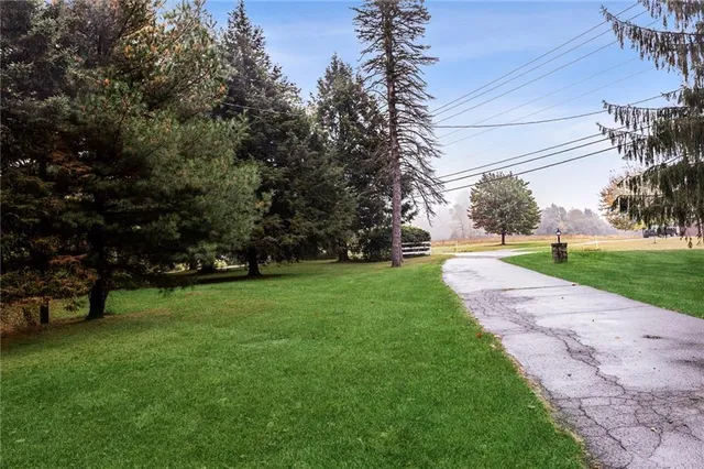 a view of a park with tree s