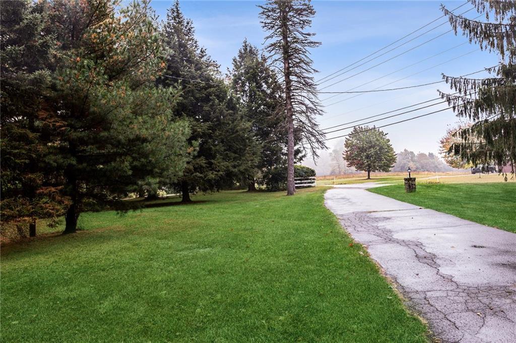 2541 Springfield Pike Connellsville, PA 15425 - Photo 11 of 49 a view of a park with tree s
