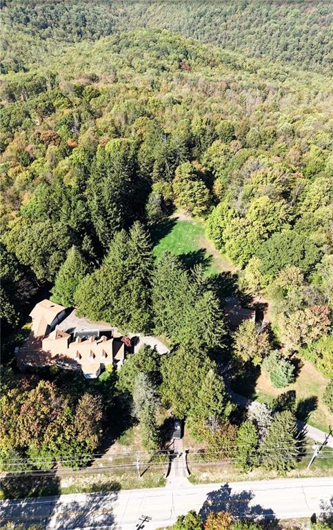 2541 Springfield Pike Connellsville, PA 15425 - Photo 4 of 49 a view of a garden with plants