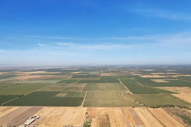 a view of a field with an ocean view