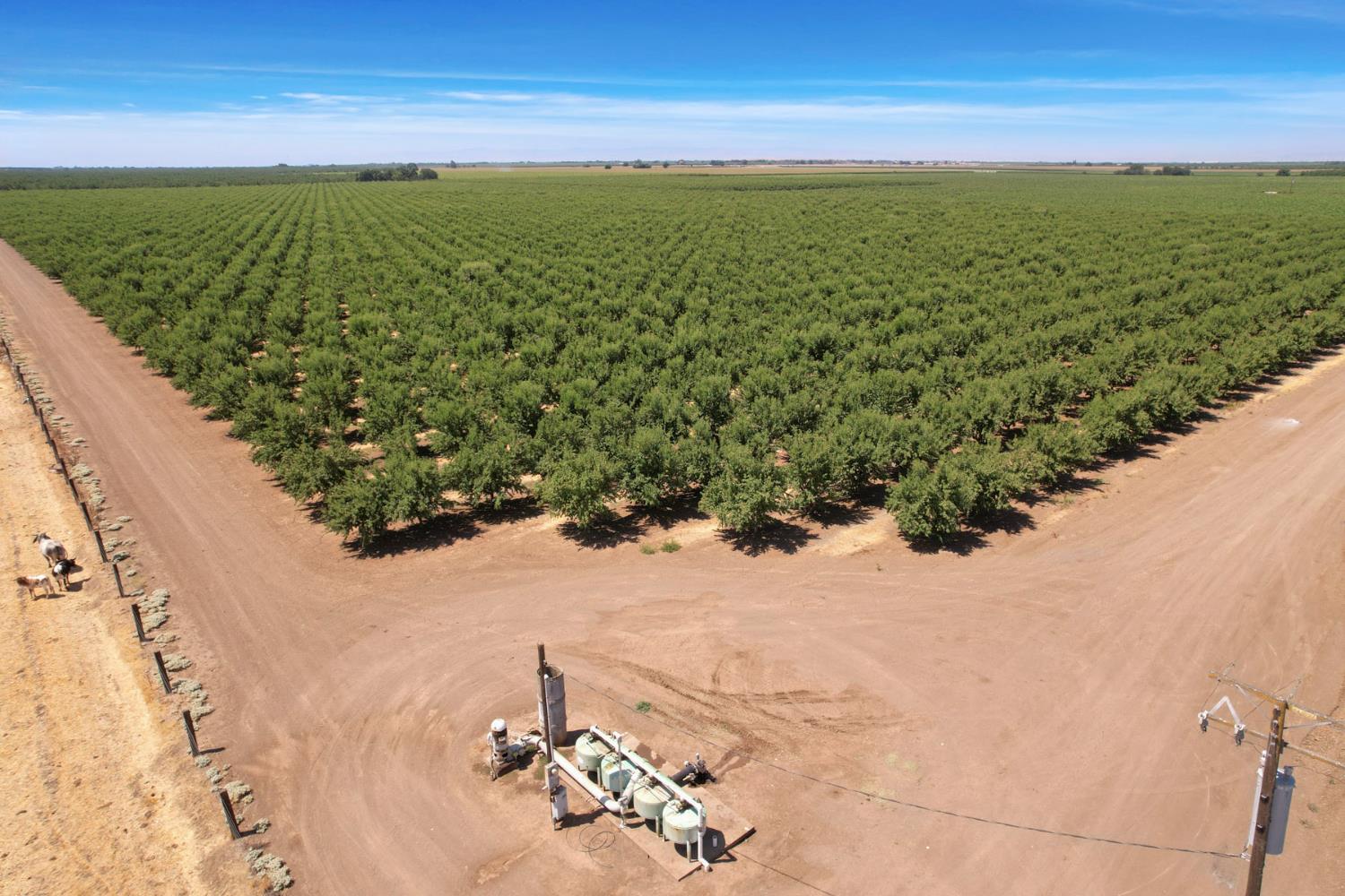 18190 Copperopolis Road Stockton, CA 95215 - Photo 14 of 35 a view of a field with an ocean view