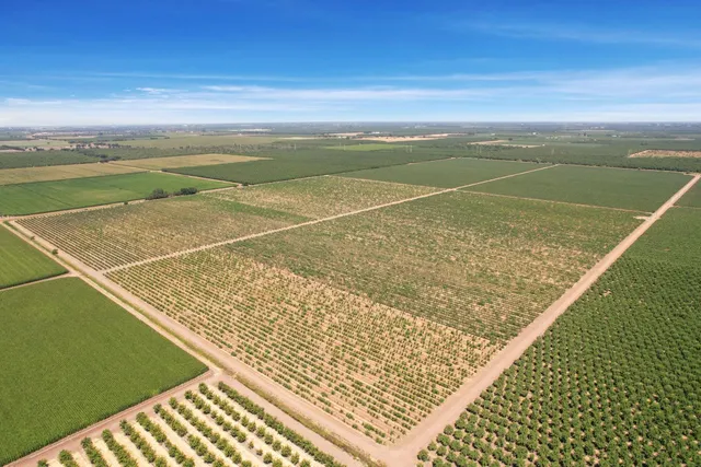 a view of an outdoor space and tennis court