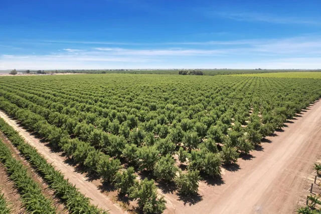 a view of an outdoor space and tennis court