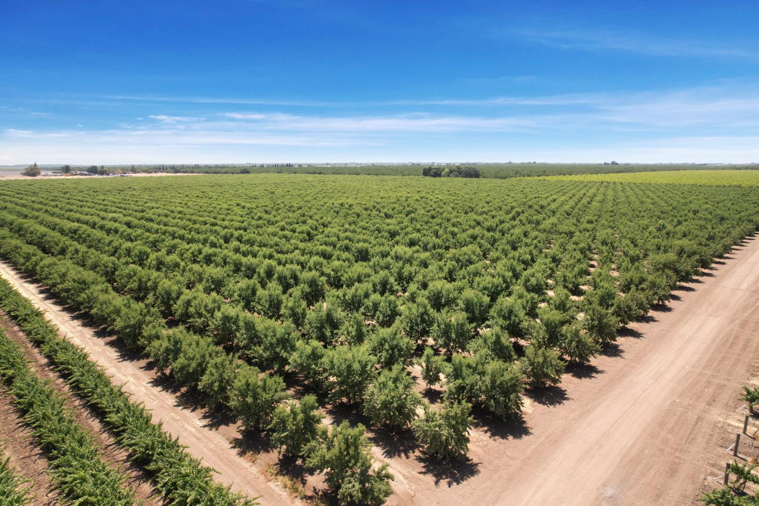 18190 Copperopolis Road Stockton, CA 95215 - Photo 26 of 35 a view of a field with an ocean
