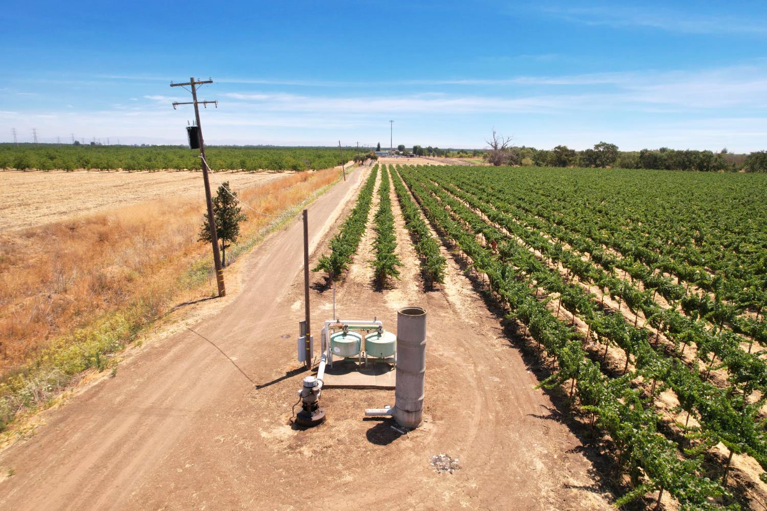 18190 Copperopolis Road Stockton, CA 95215 - Photo 33 of 35 a view of a swimming pool and a yard