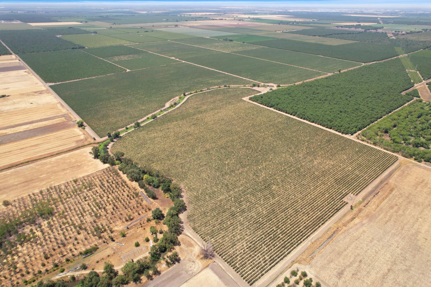 18190 Copperopolis Road Stockton, CA 95215 - Photo 35 of 35 a view of outdoor space